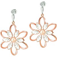 Boucles d'oreilles Morellato Femme Fioremio in Acier Diamante SABK27